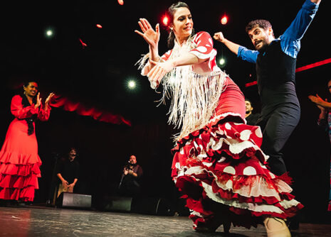 Image for Flamenco Vivi